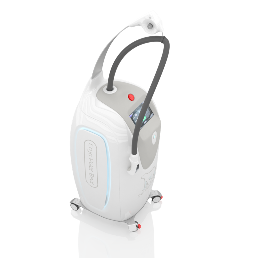 صورة دب قطبي محلي من نوع Cryo-8