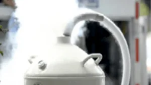 Cámara de crioterapia basada en nitrógeno líquido CryoStar | imagen_7