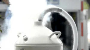 Captura de tela_19 - Câmaras de crioterapia e máquinas de emagrecimento VACUACTIVUS Câmara de crioterapia CryoStar baseada em nitrogênio líquido | imagem_11