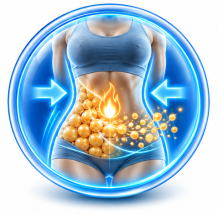 MetabolicBoost