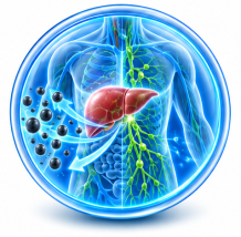NaturalDetoxification