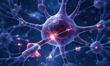 Nahaufnahme von miteinander verbundenen Neuronen mit leuchtenden Synapsen in Blau und Violett.